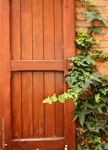 Wooden shutter and ivy on brick wall