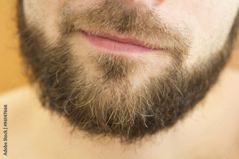 Fototapeta premium Closeup of beard man