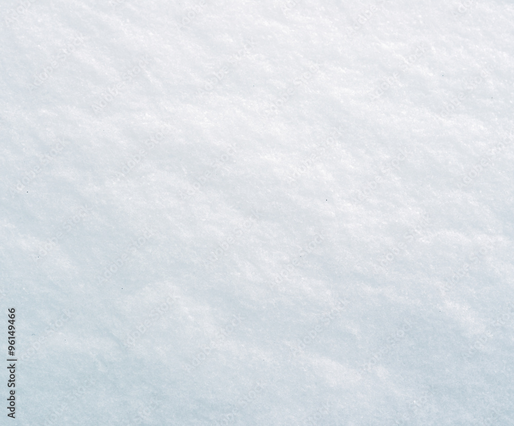 fresh snow fresh snow