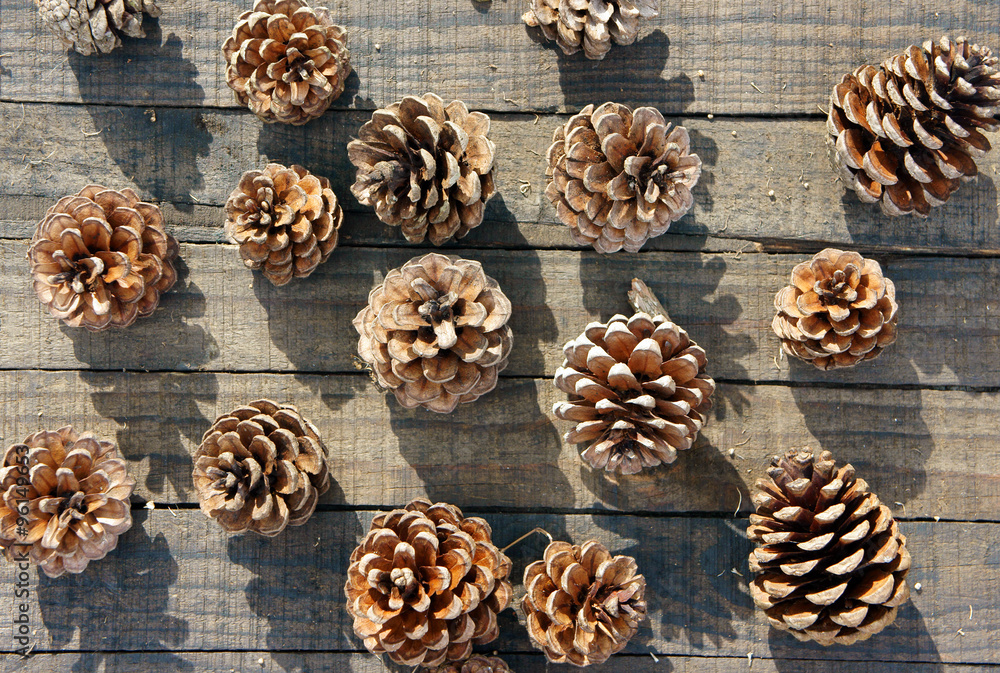 pine cone, Christmas, pinecone, xmas pine cone, Christmas, pinecone, xmas
