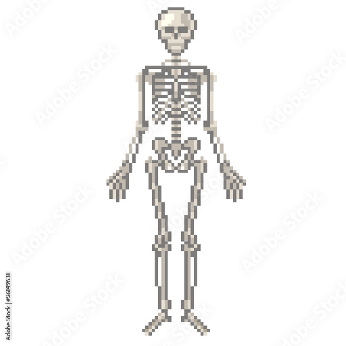 Pixel human skeleton isolated vector