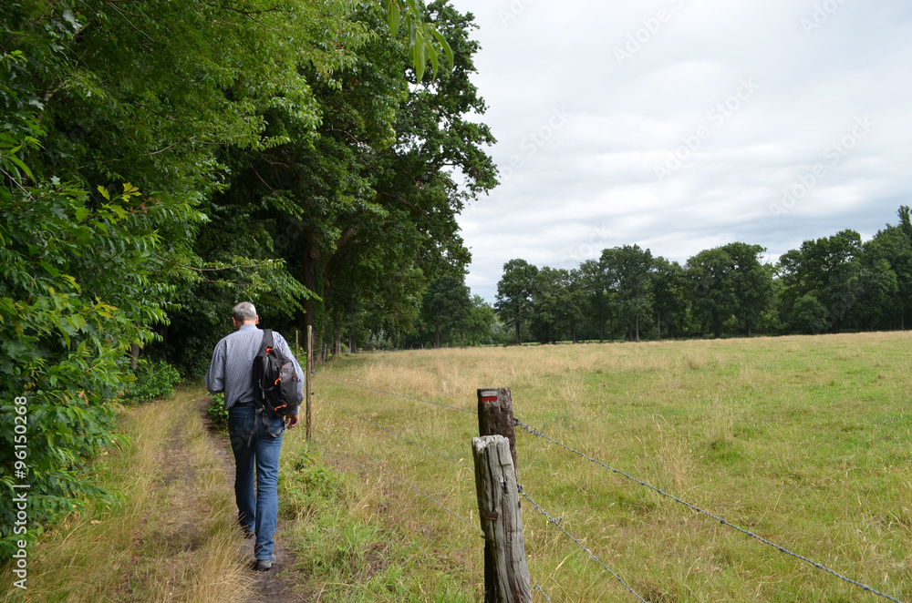 Man walking on trail next to meadow in Flanders fields