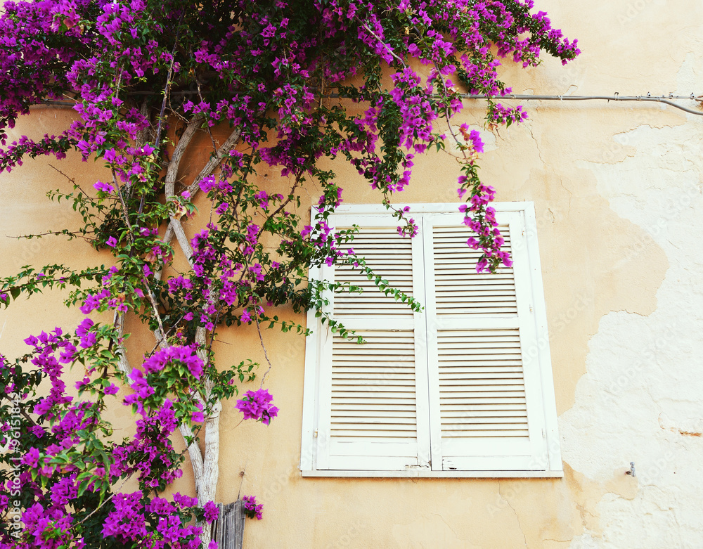 Mediterranean house, Italy, Sicily. Detail with wall, window and