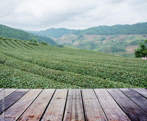 landscape with wood terrace 