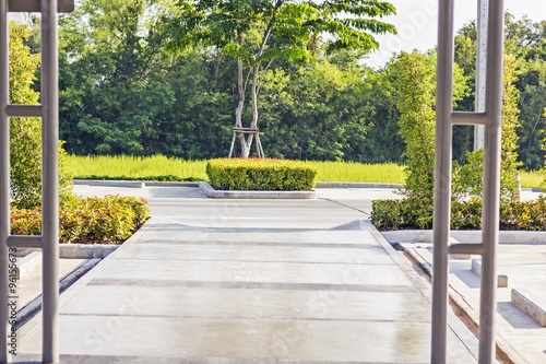 Stepping concrete Path in a Peaceful Green Garden