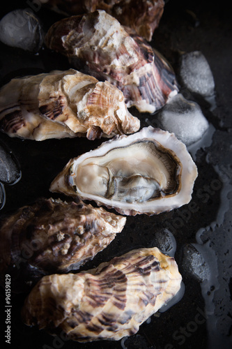 Oysters on black background