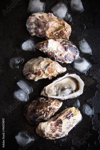 Oysters on black background