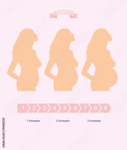 Silhouette of a pregnant woman in the three trimesters.