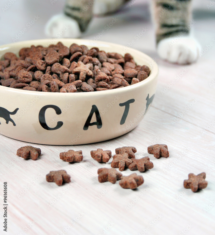 Katzenfutter Katzenfutter