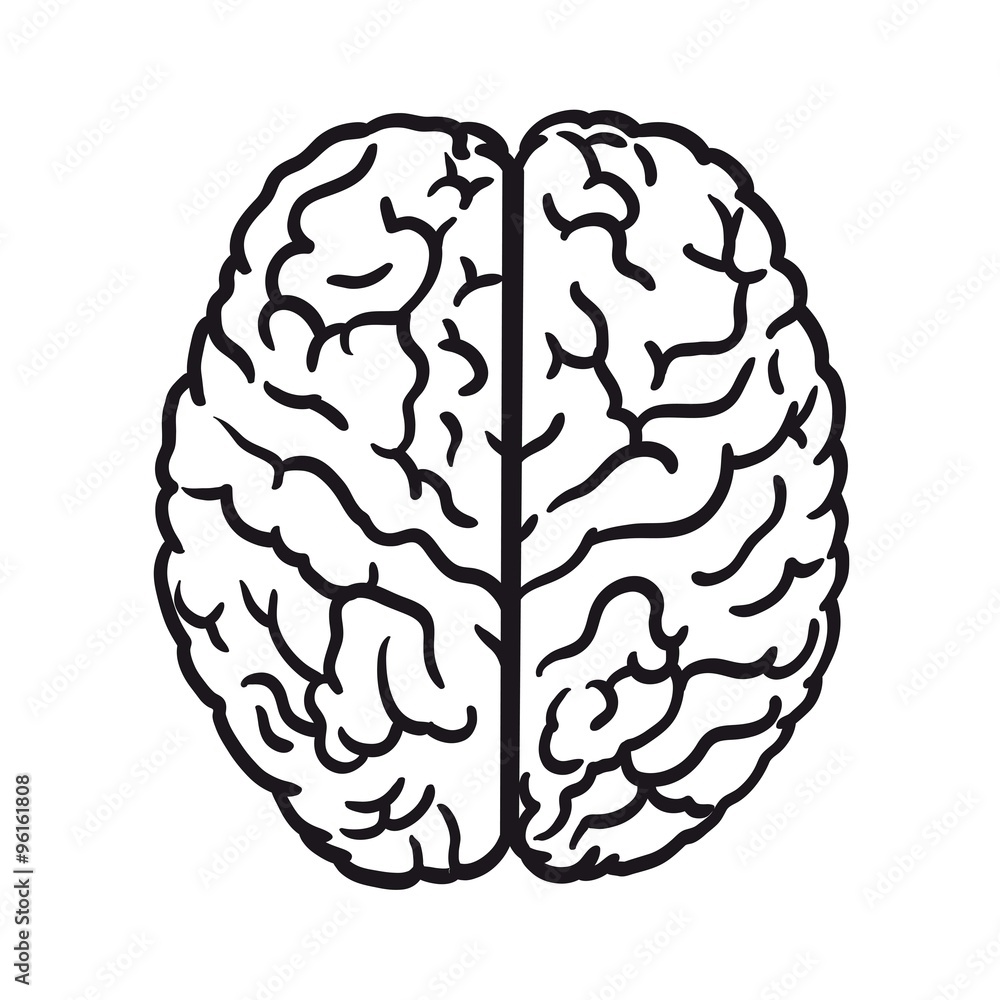 human brain icon human brain icon