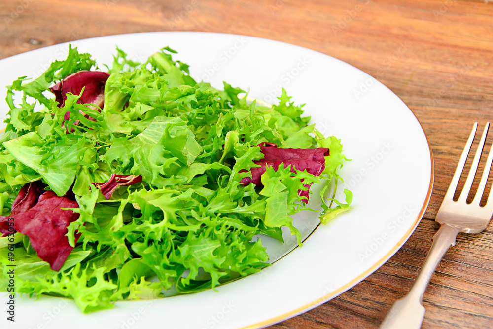 Salad Mix Batavian, Frise, Radicchio, Chicory Salad Mix Batavian, Frise, Radicchio, Chicory