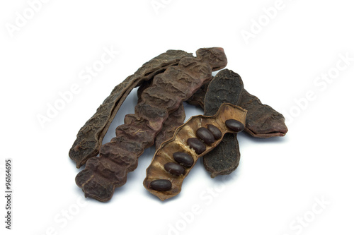 Acacia Concinna (Soap Pod Tree)