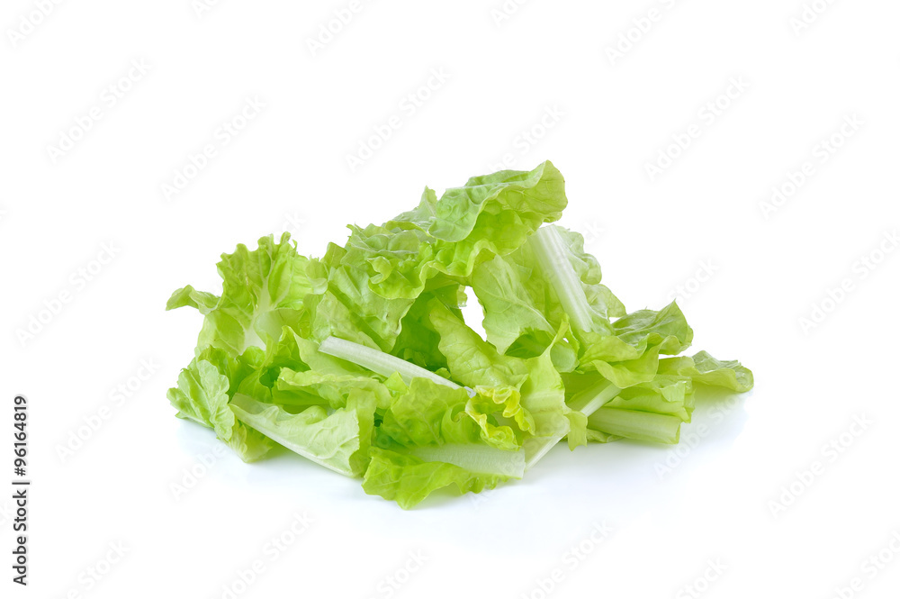 Fresh green lettuce sliced on white background Fresh green lettuce sliced on white background