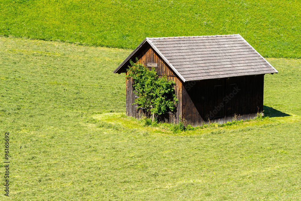 Fototapeta premium Tool shed in a green meadow