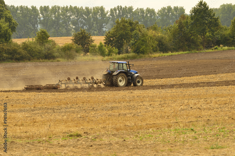 Fototapeta premium work in the field plowing