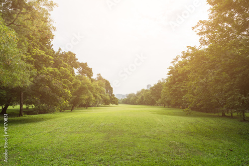 Landscape of park with sunlight 