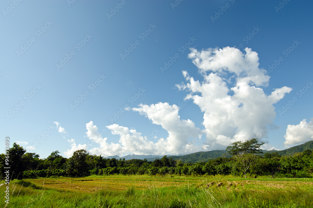 Grass, mountain and cloudy sky view of Chiangmai Thailand