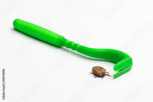 Zecke, Holzbock, Zeckenschutz