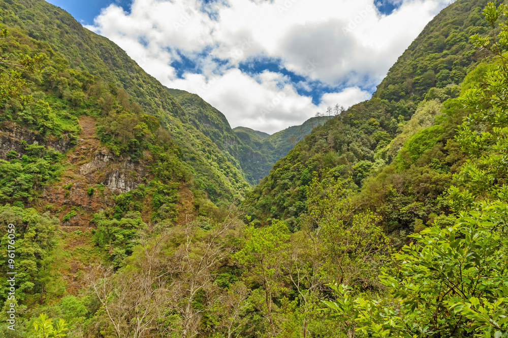 Tropical environment