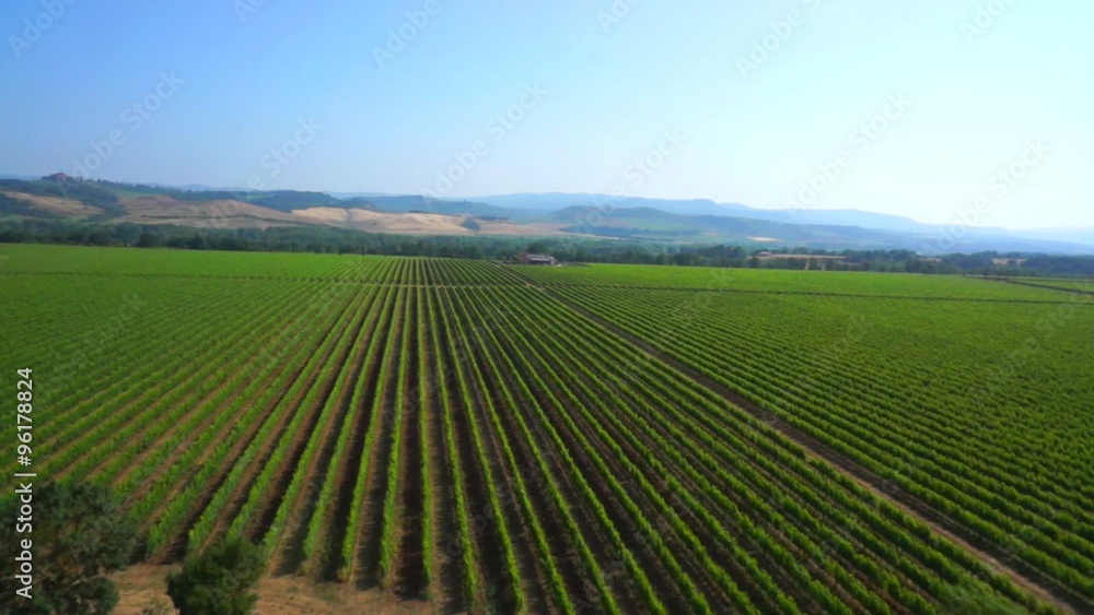 Flight over vineyards Flight over vineyards