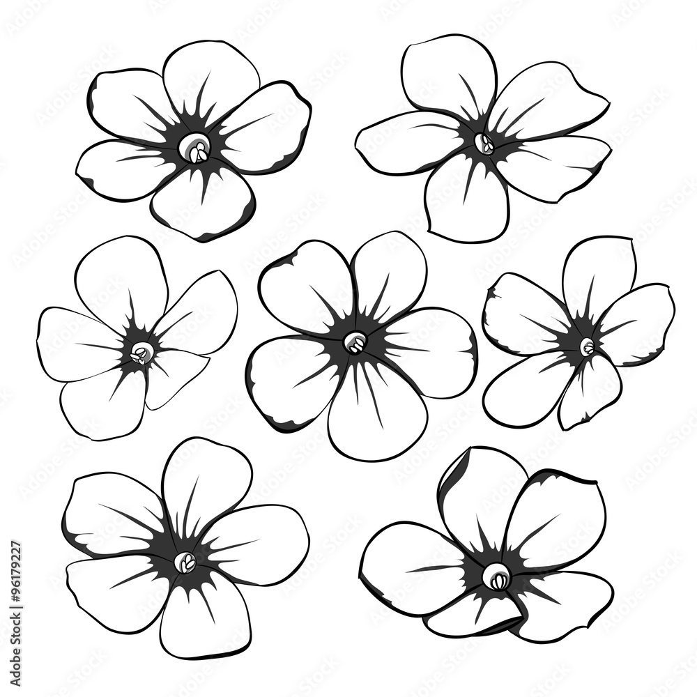 Beautiful monochrome black and white floral collection with leaves and flowers. Beautiful monochrome black and white floral collection with leaves and flowers.