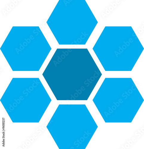 Blue Hex Logo