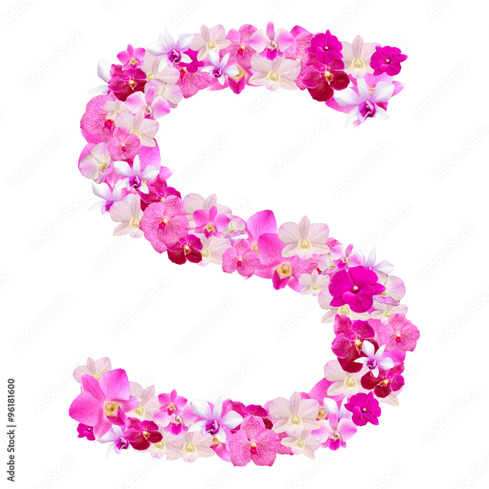 Letter S from orchid flowers isolated on white with working path