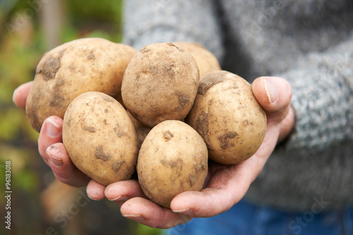 Man Holding Home Grown Potatoes