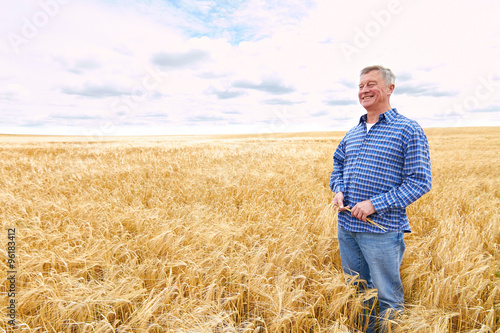 Farmer In Wheat Field Inspecting Crop © highwaystarz