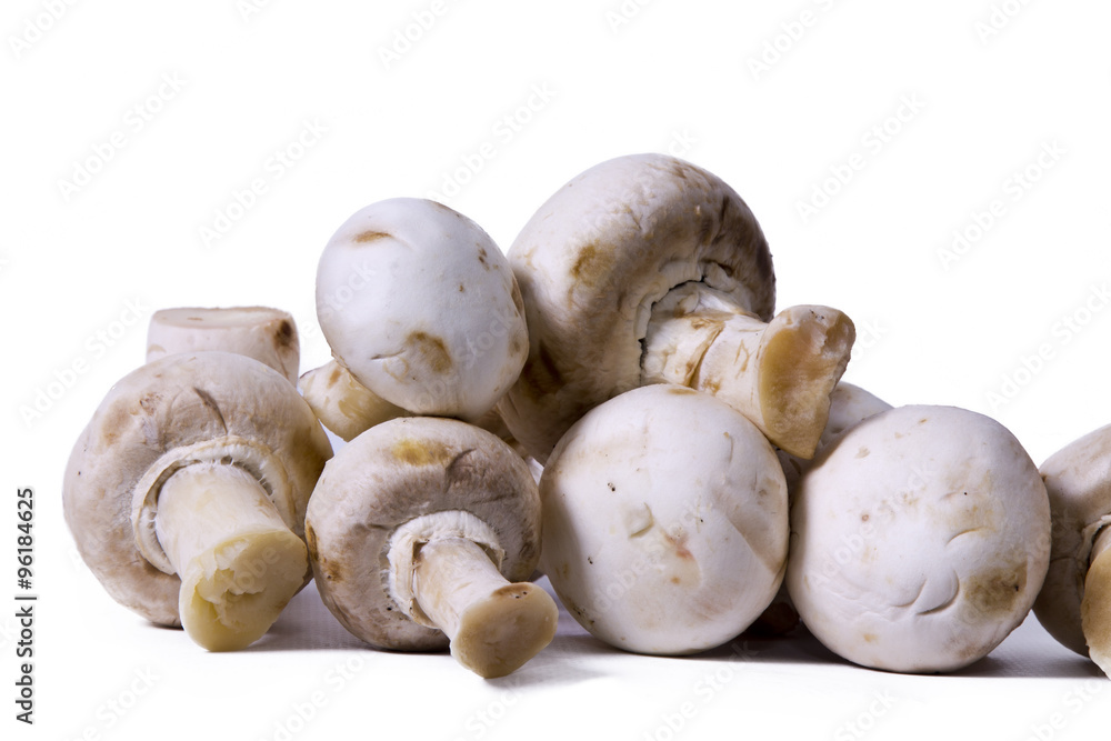 mushroom isolated mushroom isolated