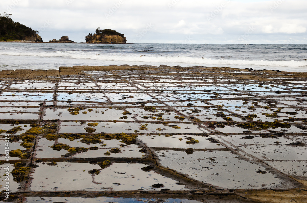 Fototapeta premium Tessellated Pavement - Tasmania