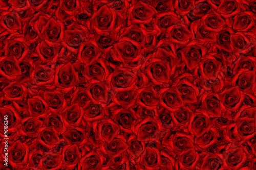 floral background of red roses closeup
