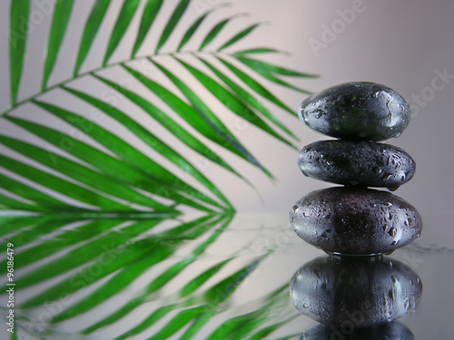Spa stones and green palm branch  on grey background