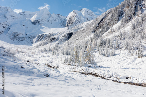 verschneiter Winterwald im Hochtal