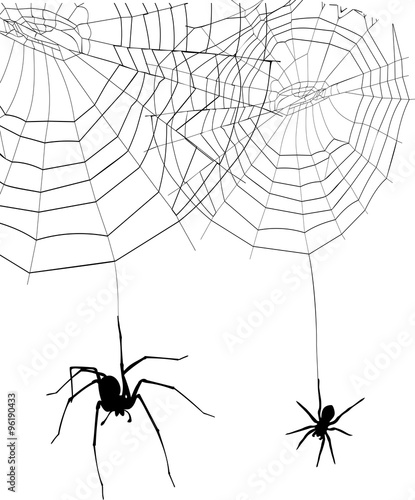 silhouettes spiders and spider web