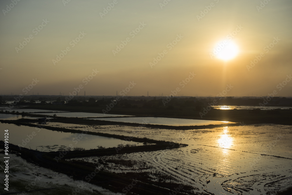 sunset over rice fields out of bangkok, thailand sunset over rice fields out of bangkok, thailand