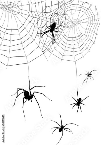 set of silhouettes spiders and spider web