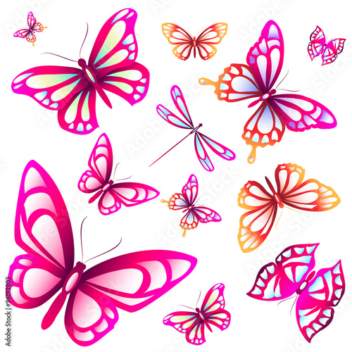 butterflies design © aboard