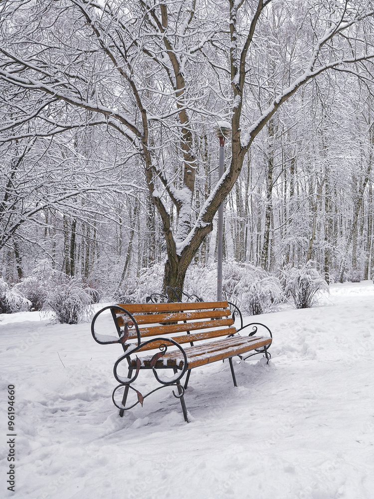 Snow-covered trees and benches in the city park
