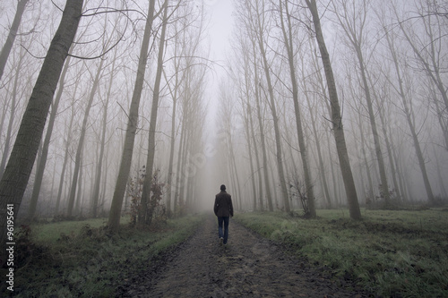 Man walking on a dirty road between fog and trees photo
