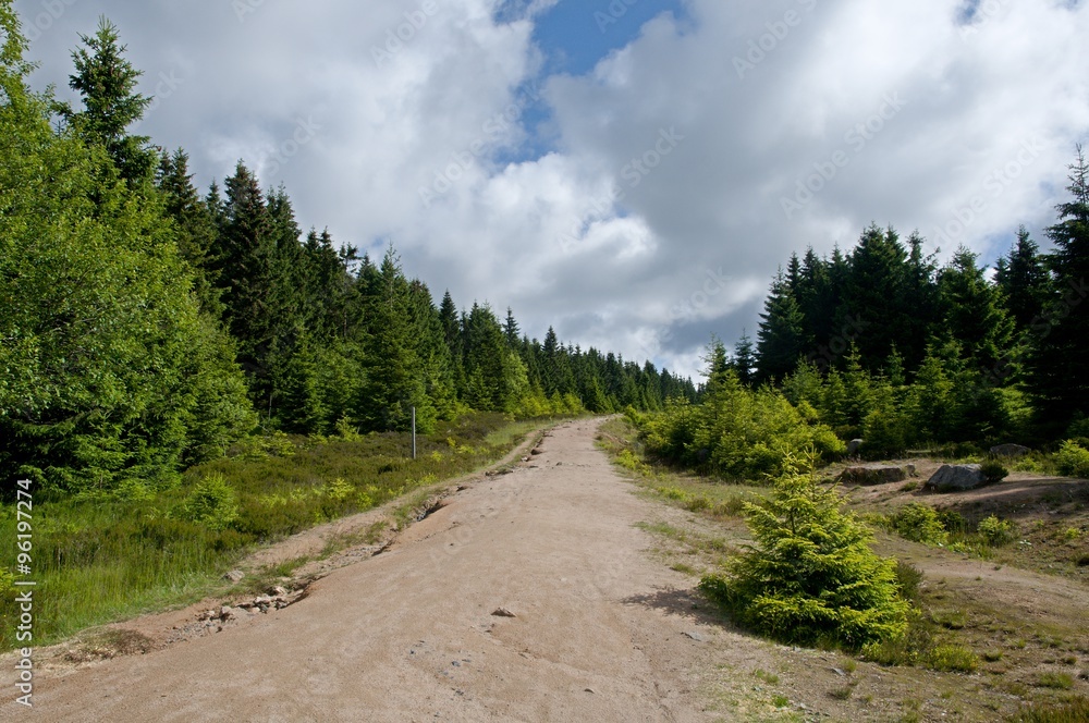 The former border between the German Democratic Republic and the Federal Republic of Germany in the Harz Mountains.