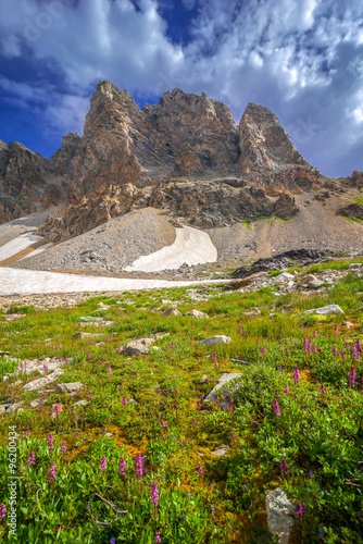 The combination of colorful wildflowers, Towering peaks, Glacers, and stunning blue sky is what makes the Grand Teton National Park a place that will leave you in awe. 
