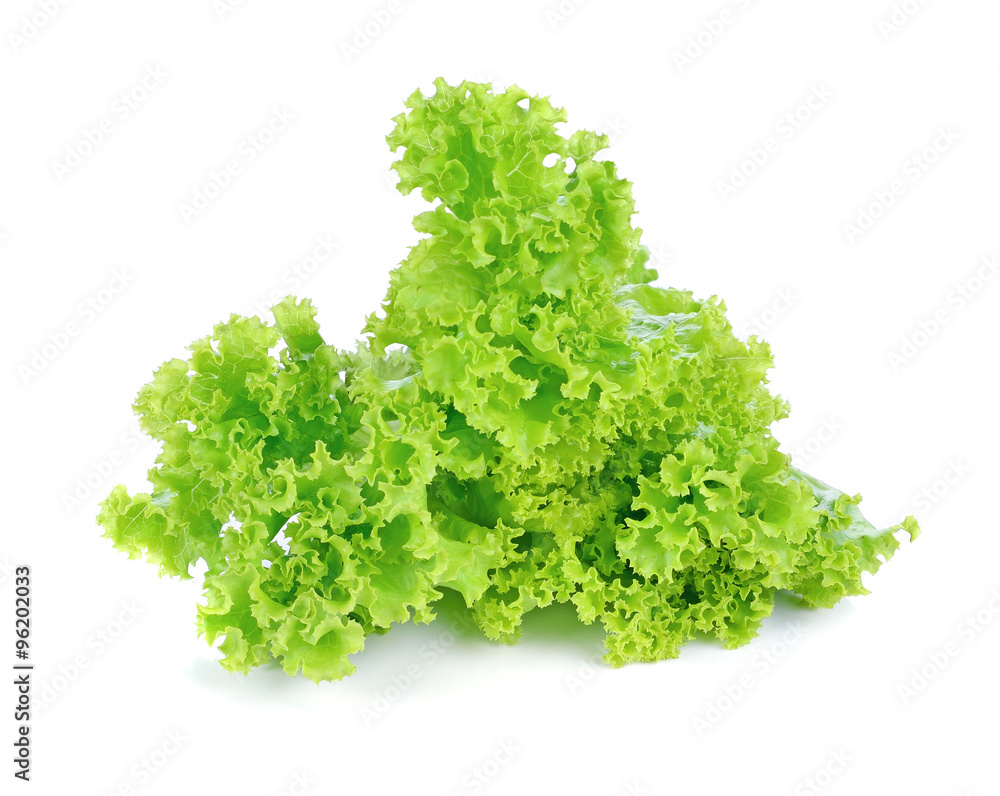 Obraz premium Fresh green lettuce isolated on a white background