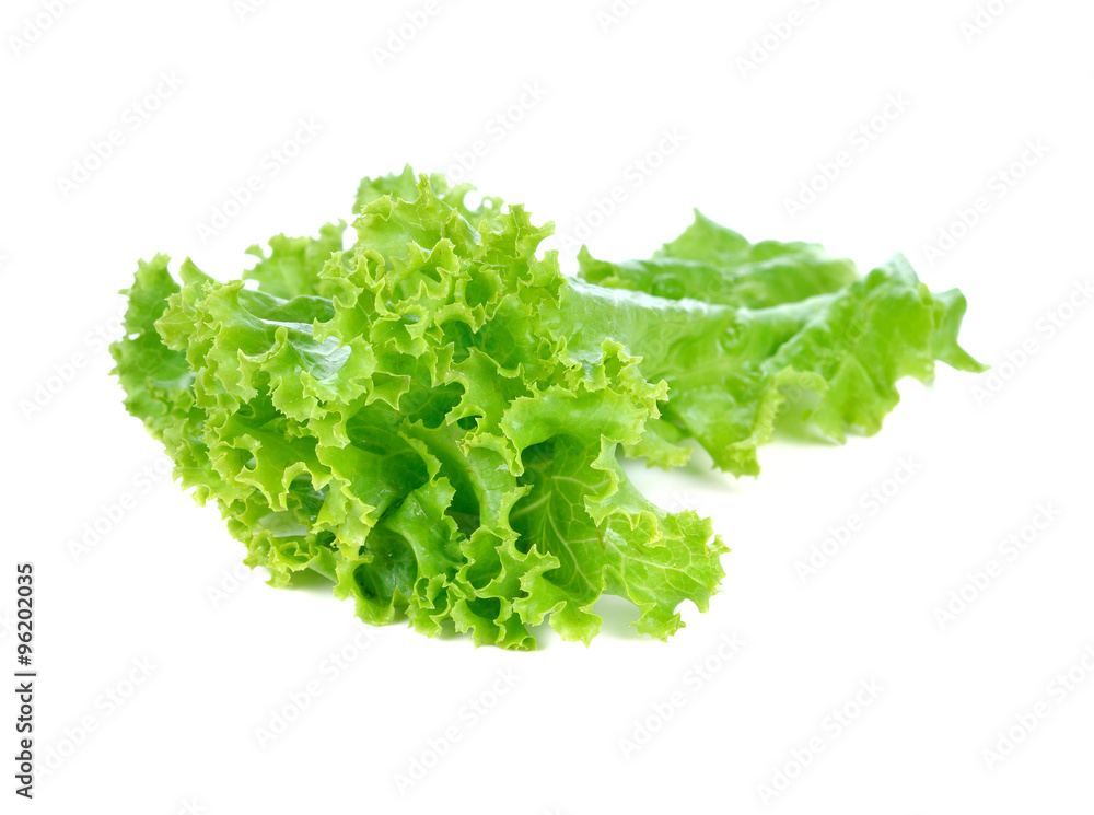 Fresh green lettuce isolated on a white background Fresh green lettuce isolated on a white background