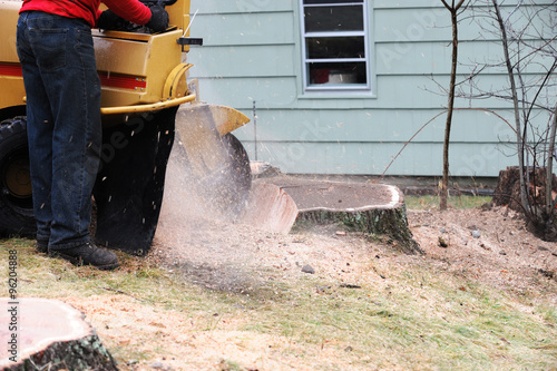 stump grinding photo