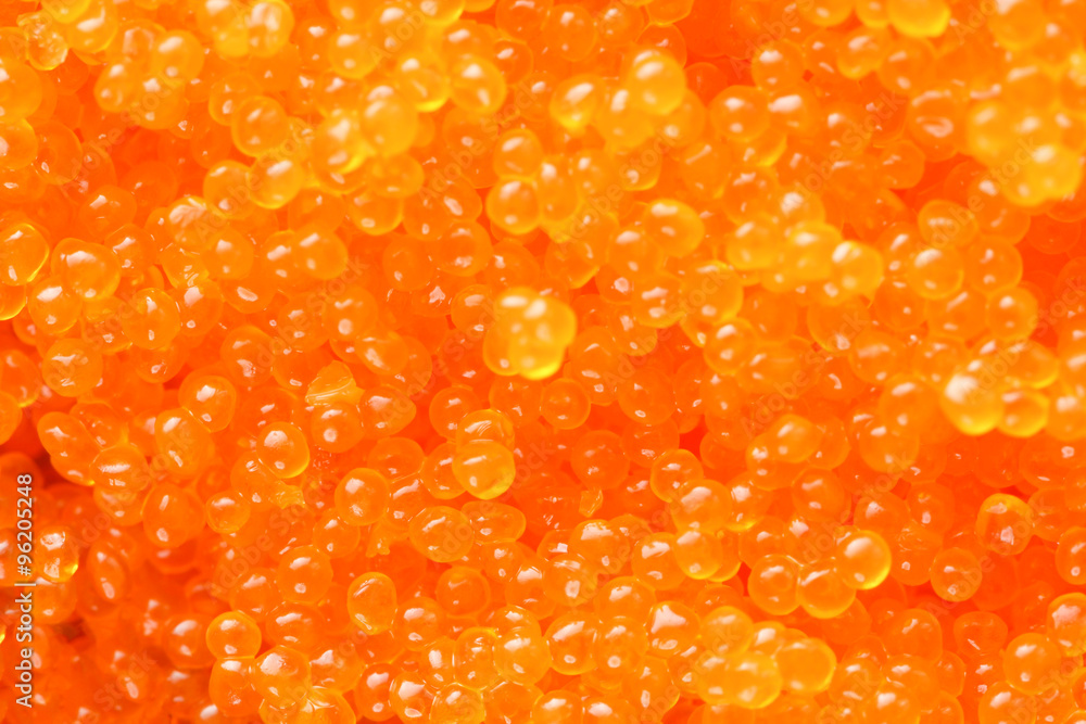 Macro of Shrimp egg Macro of Shrimp egg