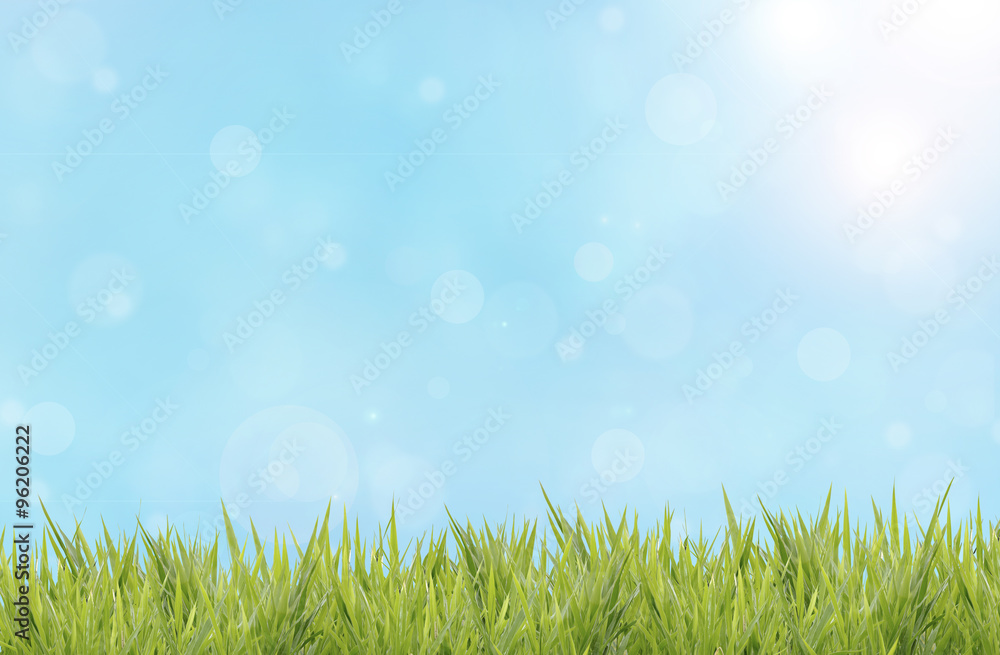Spring or summer abstract nature background with grass field