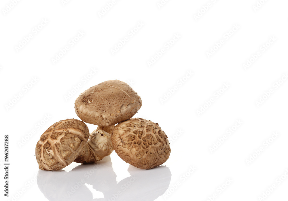 Shiitake mushroom on the White background Shiitake mushroom on the White background