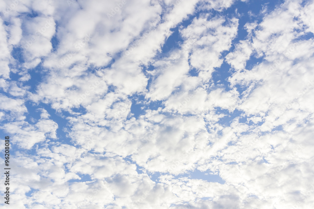 Fototapeta premium blue sky with cloud