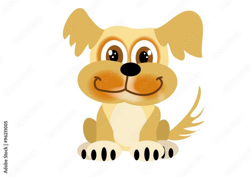 Obraz premium pies, Kooikerhondje